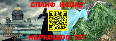 дмт Можайск