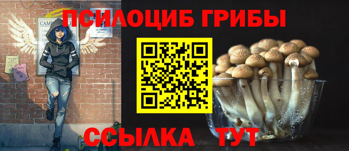 Псилоцибиновые грибы Cubensis  Псилоцибиновые грибы ЛСД  Вход с VPN  Чапаевск 