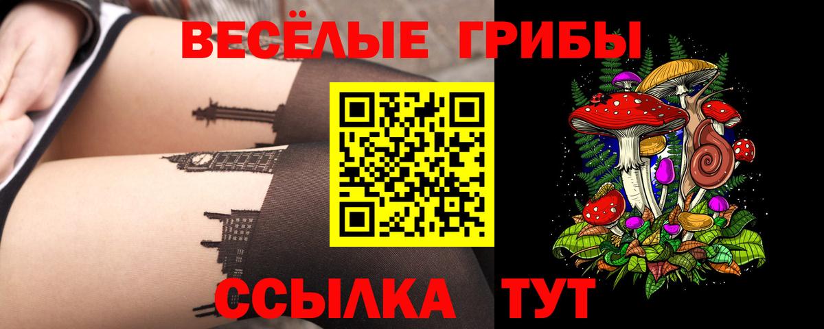 Галлюциногенные грибы прущие грибы Чапаевск